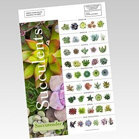 EDDM Full Service - Sell Sheets